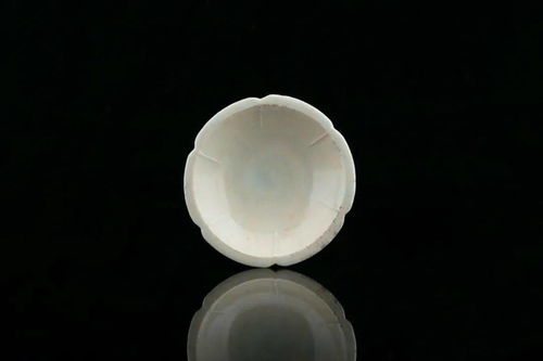 宋代不可低估的陶瓷產(chǎn)品,原來是這一類 大肉莊 微拍堂 第二期